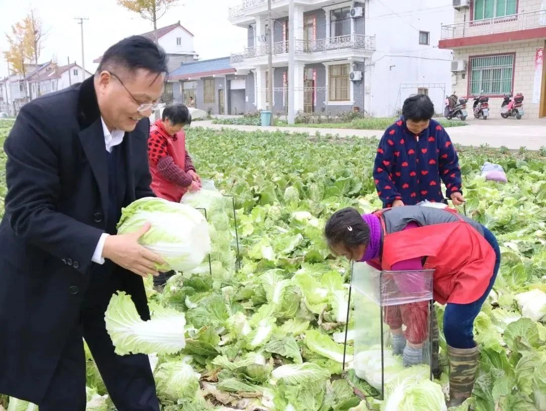 Chairman of Shunli Steel Group Purchases 100,000 Jin of Chinese Cabbages with Love